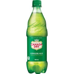 CANADA DRY GINGER ALE (PLST)
