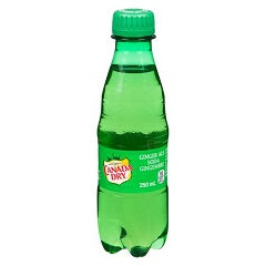 CANADA DRY GINGER ALE (PLST)